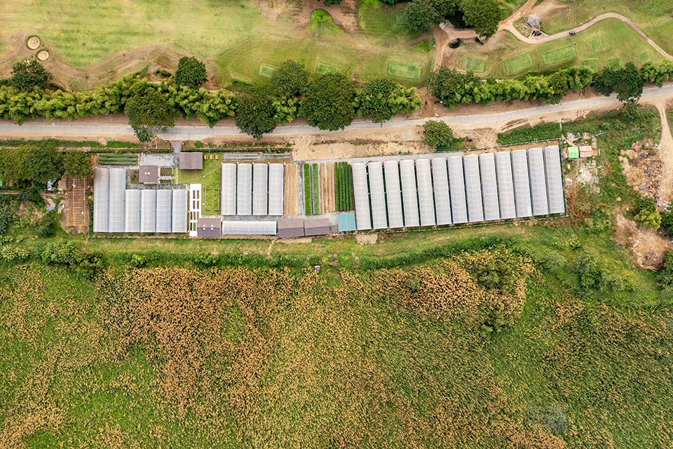 VeggieFarm_2023_00022.jpg