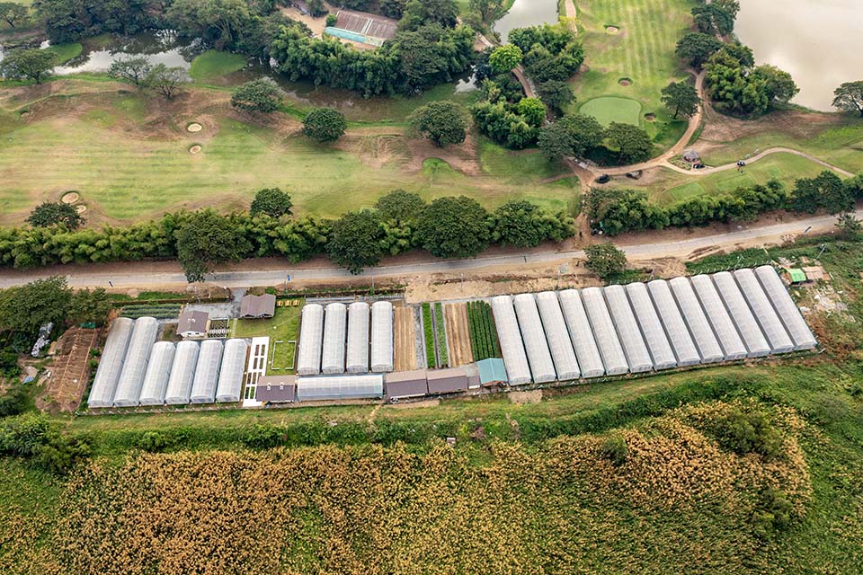 VeggieFarm_2023_00023.jpg