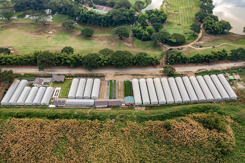 VeggieFarm_2023_00024.jpg
