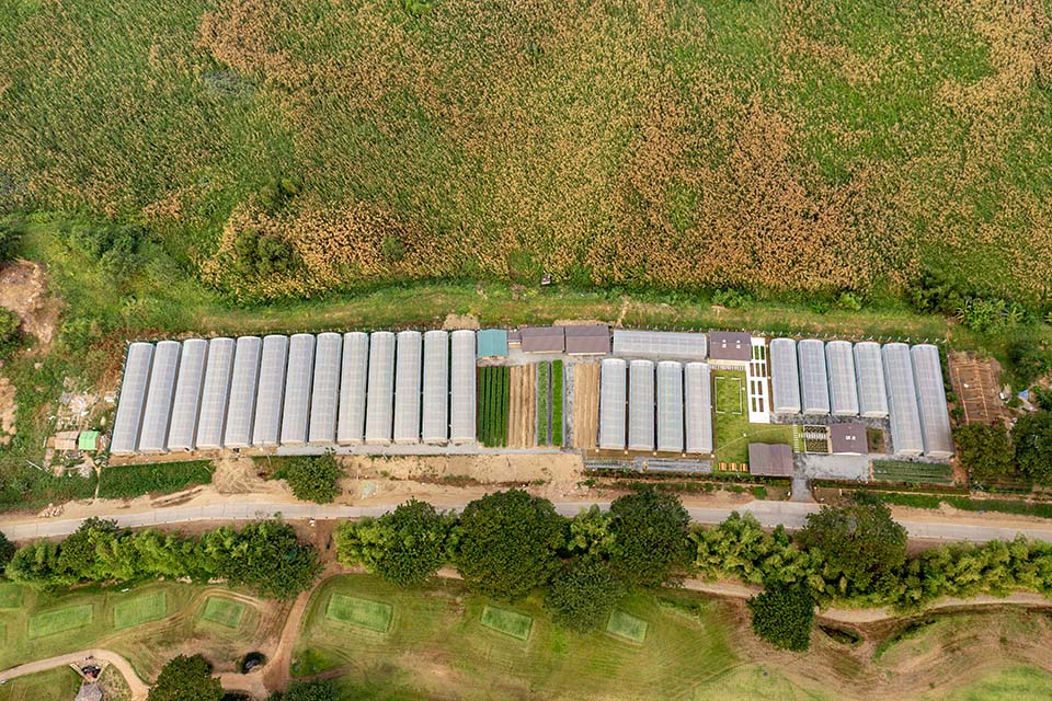 VeggieFarm_2023_00031.jpg