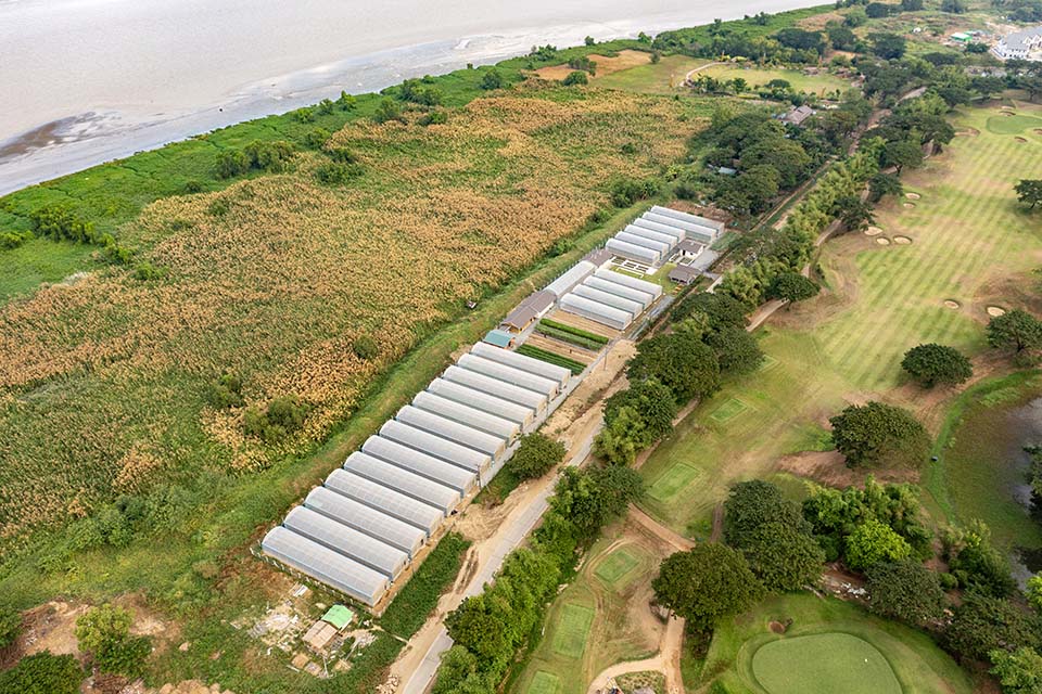 VeggieFarm_2023_00032.jpg