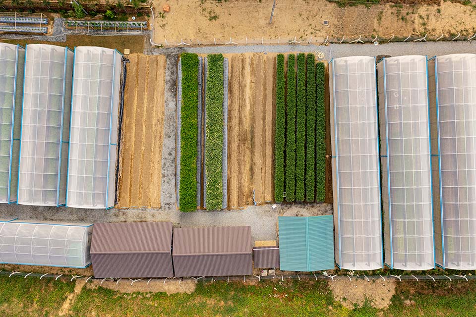 VeggieFarm_2023_00036.jpg