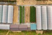 VeggieFarm_2023_00036.jpg