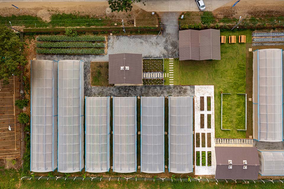 VeggieFarm_2023_00038.jpg