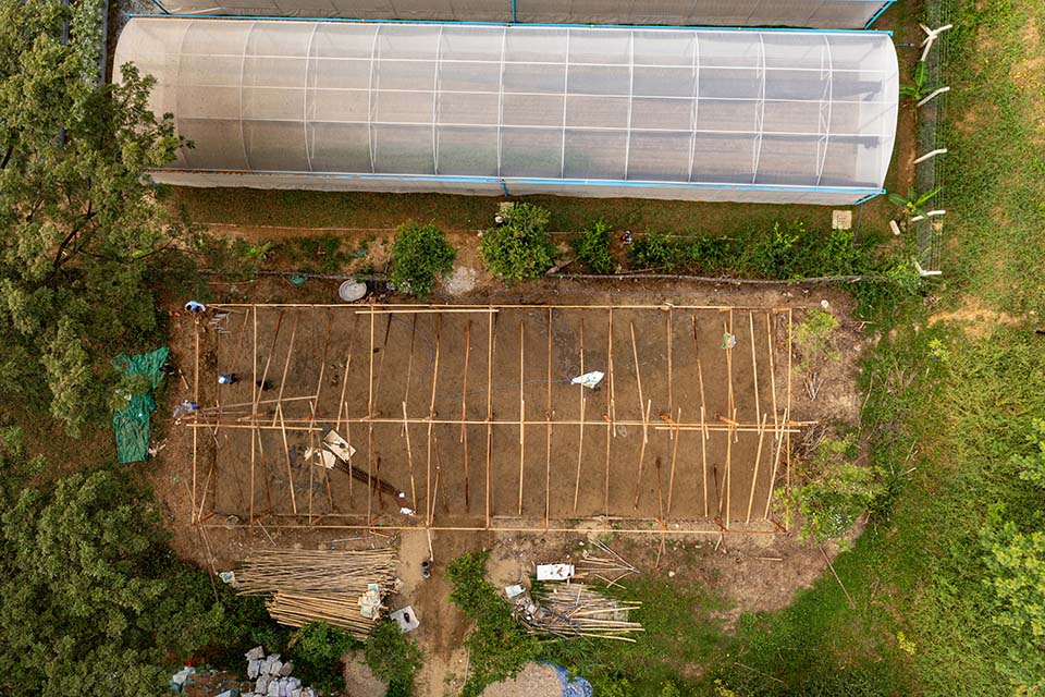 VeggieFarm_2023_00040.jpg