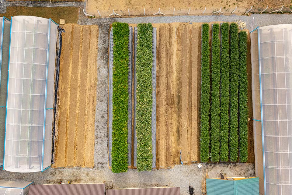 VeggieFarm_2023_00042.jpg