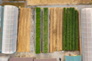 VeggieFarm_2023_00042.jpg
