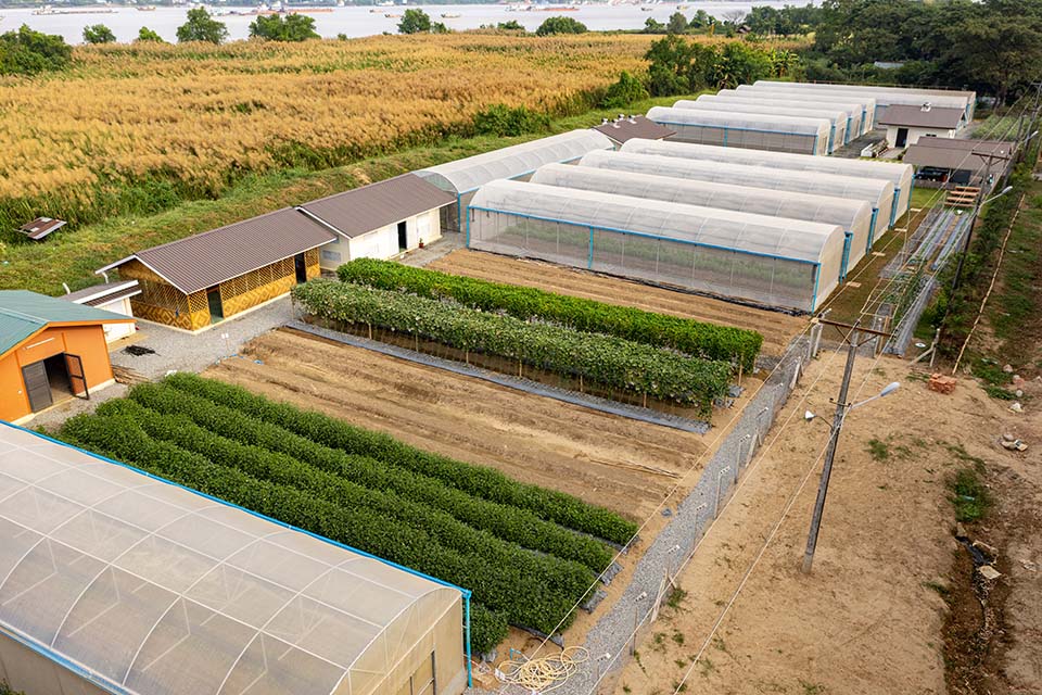 VeggieFarm_2023_00043.jpg
