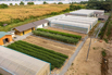 VeggieFarm_2023_00043.jpg