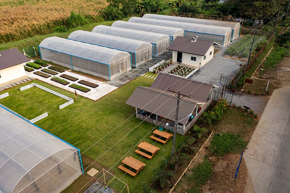 VeggieFarm_2023_00045.jpg