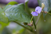 VeggieFarm_2022_00033.jpg