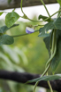 VeggieFarm_2022_00034.jpg