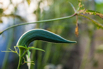VeggieFarm_2022_00079.jpg