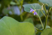 VeggieFarm_2022_00081.jpg