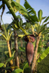 VeggieFarm_2022_00089.jpg