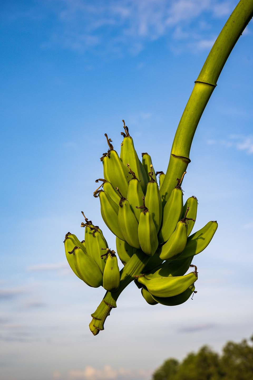 VeggieFarm_2022_00090.jpg