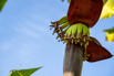 VeggieFarm_2022_00161.jpg
