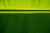 VeggieFarm_2022_00223.jpg