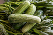 VeggieFarm_2022_00243.jpg