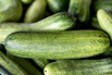 VeggieFarm_2023_00012.jpg