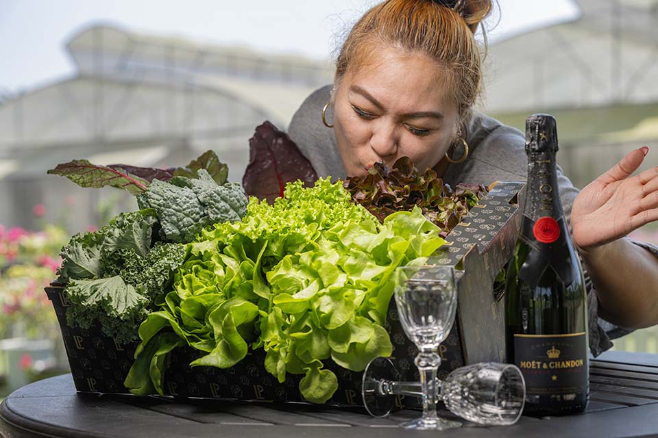 VeggieFarm_2024_00005.jpg