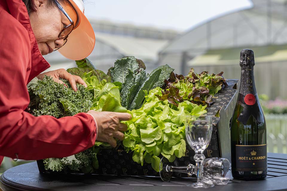 VeggieFarm_2024_00007.jpg
