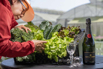 VeggieFarm_2024_00007.jpg