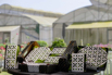 VeggieFarm_2024_00022.jpg