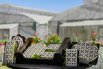 VeggieFarm_2024_00024.jpg