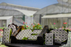 VeggieFarm_2024_00025.jpg