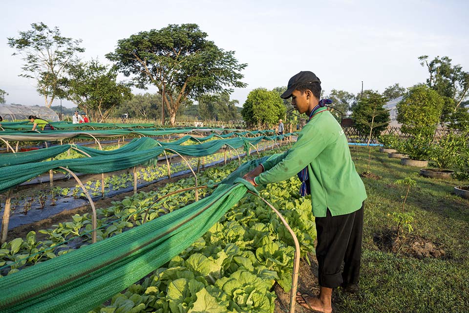 VeggieFarm_2022_00045.jpg