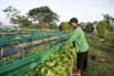 VeggieFarm_2022_00045.jpg