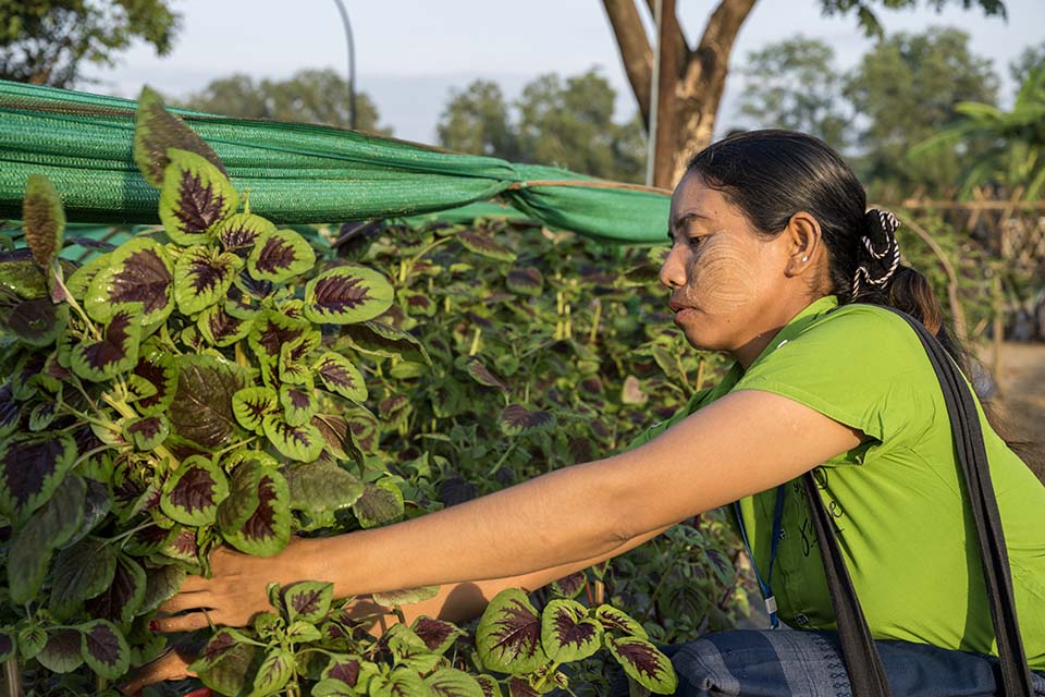 VeggieFarm_2022_00057.jpg