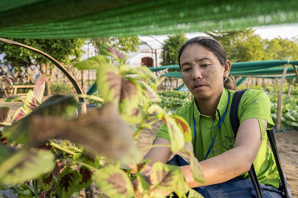 VeggieFarm_2022_00075.jpg