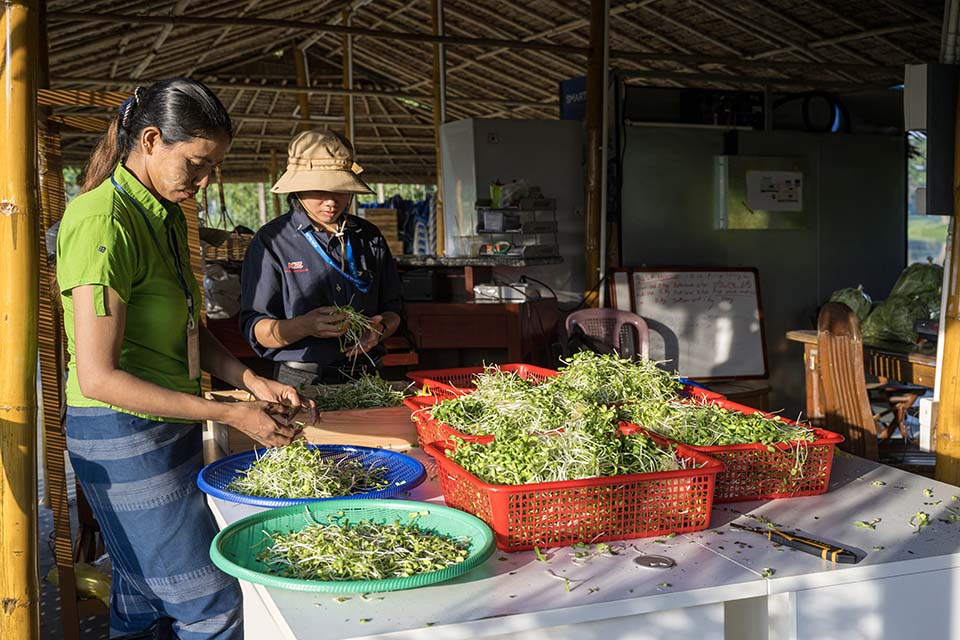 VeggieFarm_2022_00112.jpg