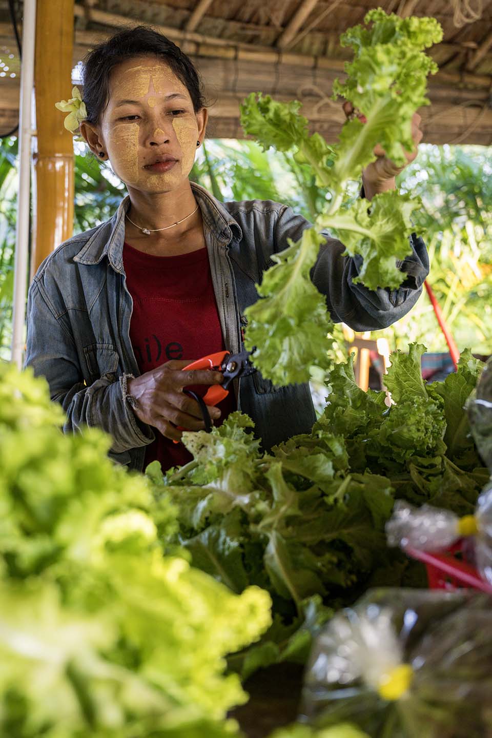 VeggieFarm_2022_00124.jpg