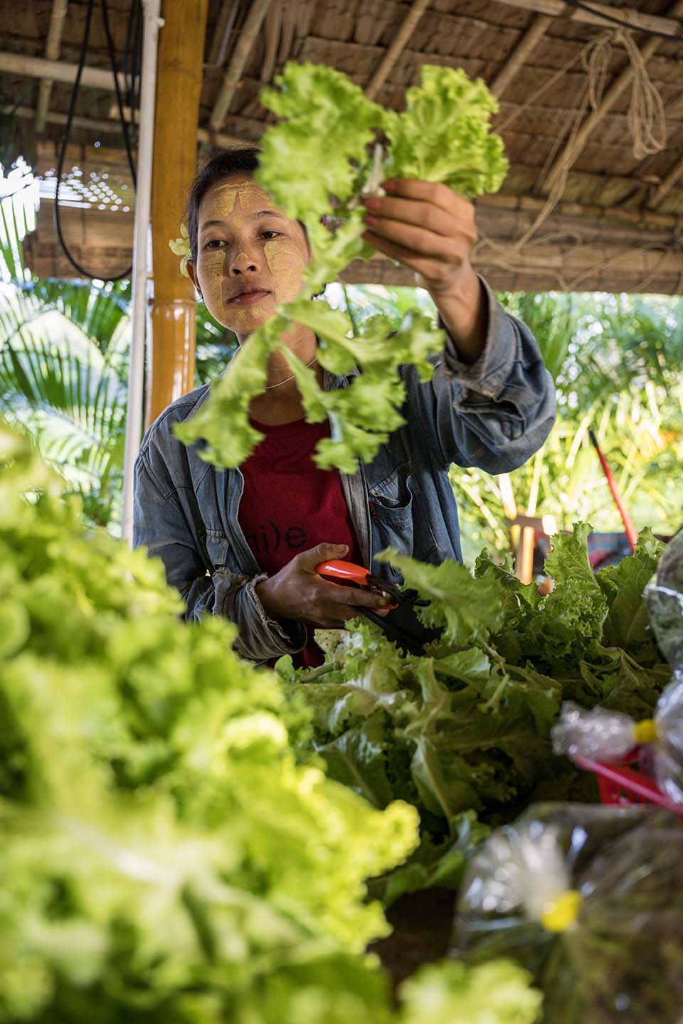 VeggieFarm_2022_00126.jpg