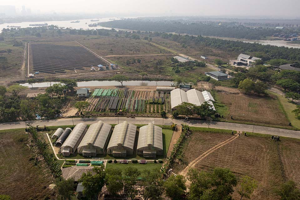 VeggieFarm_2024_00181.jpg