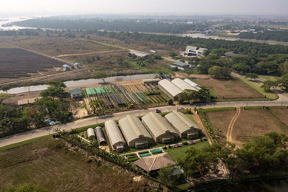 VeggieFarm_2024_00184.jpg