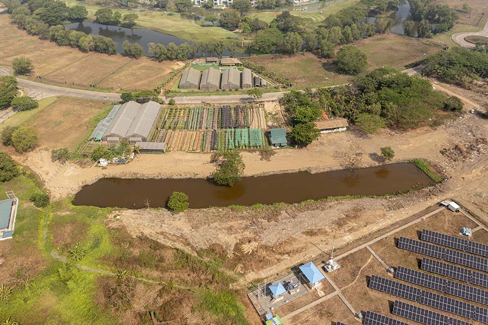 VeggieFarm_2024_00201.jpg