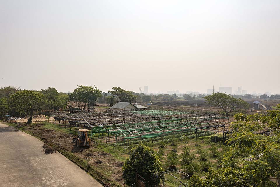 VeggieFarm_2024_00205.jpg