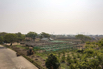 VeggieFarm_2024_00205.jpg