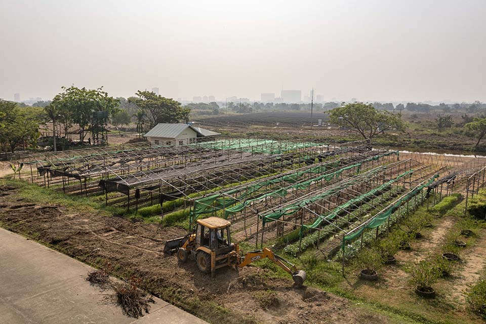 VeggieFarm_2024_00206.jpg