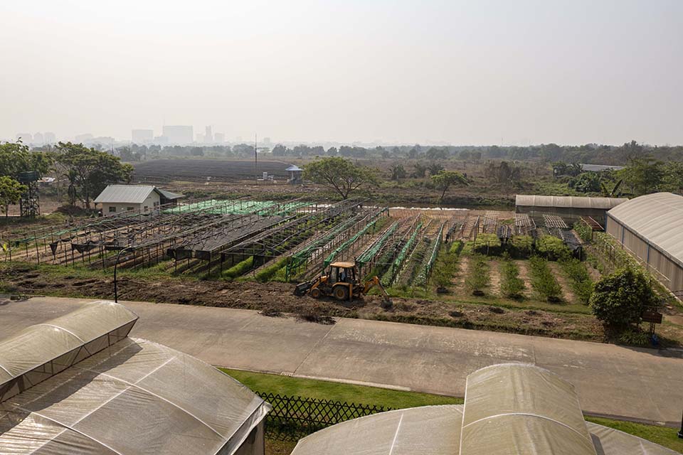 VeggieFarm_2024_00209.jpg