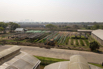 VeggieFarm_2024_00209.jpg