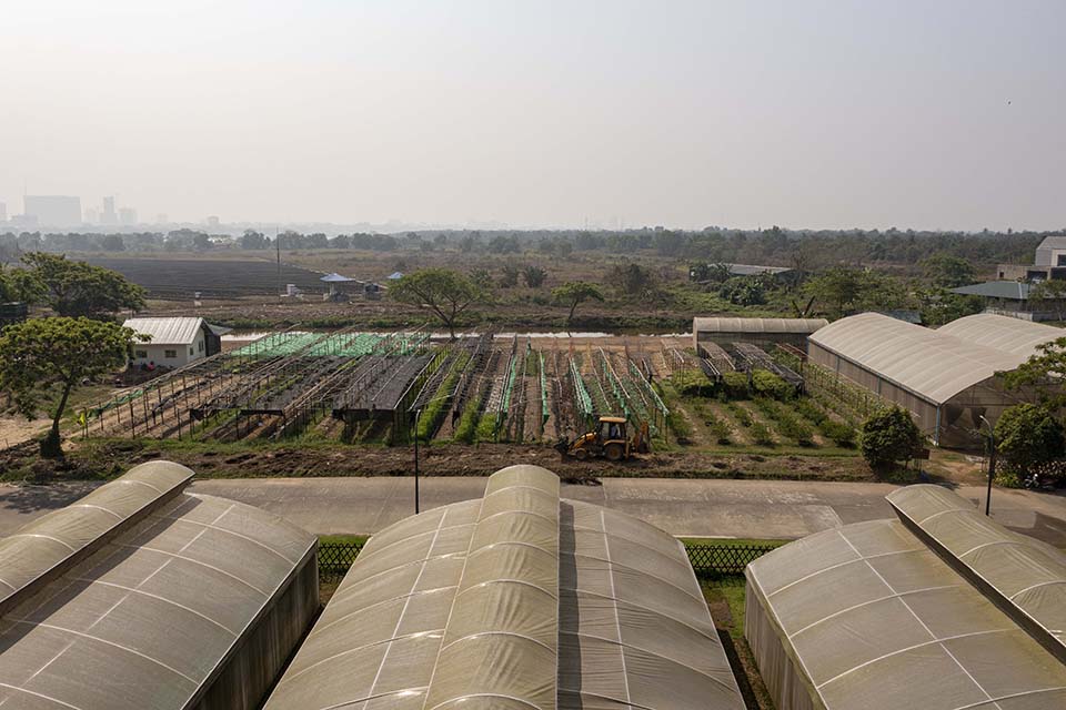 VeggieFarm_2024_00211.jpg