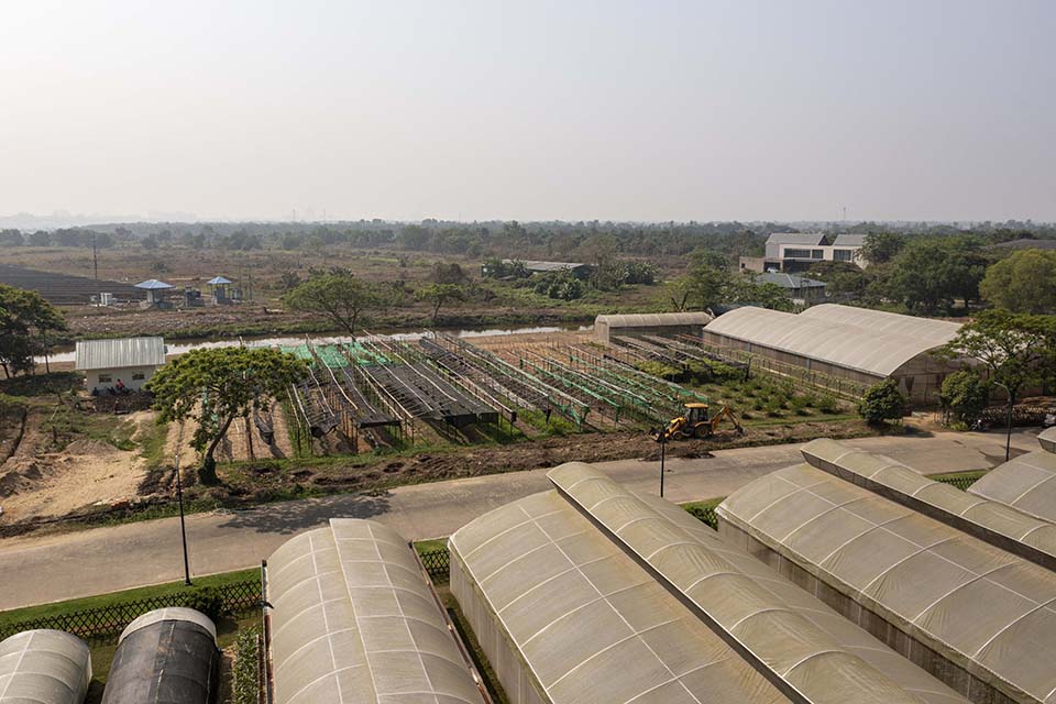VeggieFarm_2024_00213.jpg