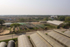 VeggieFarm_2024_00213.jpg