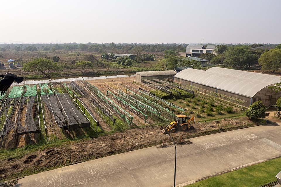 VeggieFarm_2024_00215.jpg
