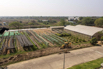 VeggieFarm_2024_00215.jpg